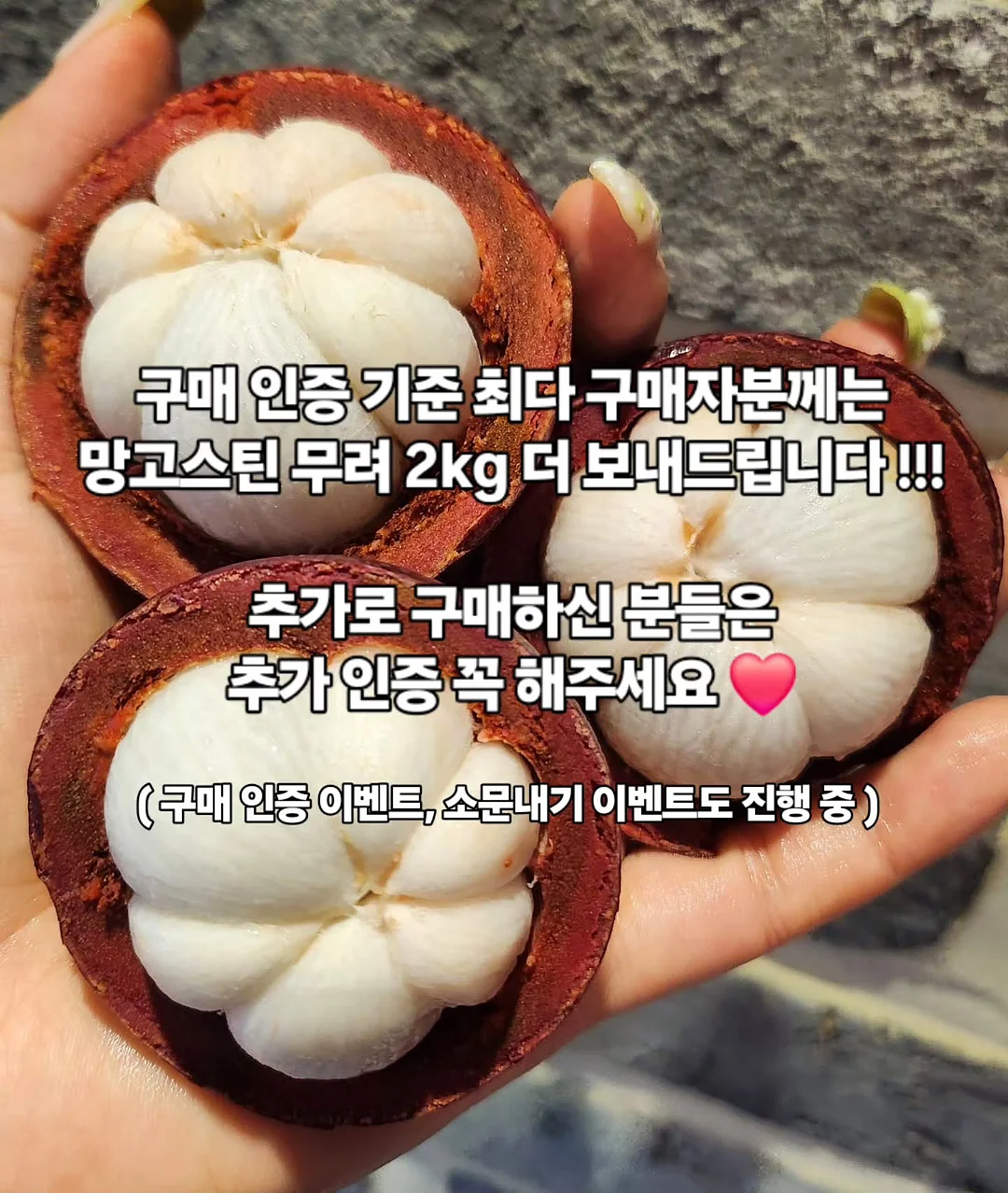 슈슈 플리츠세트