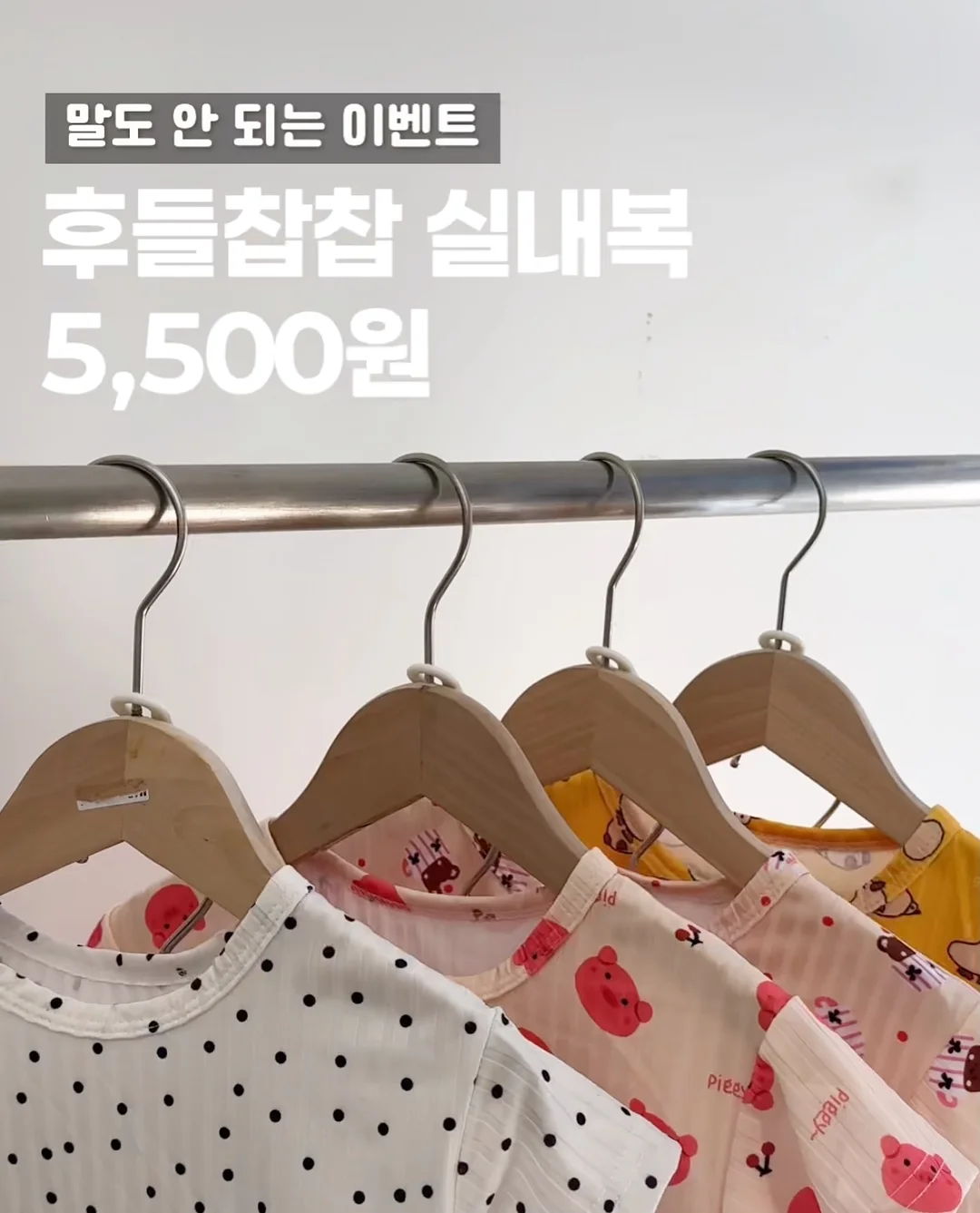 분재 기본과정