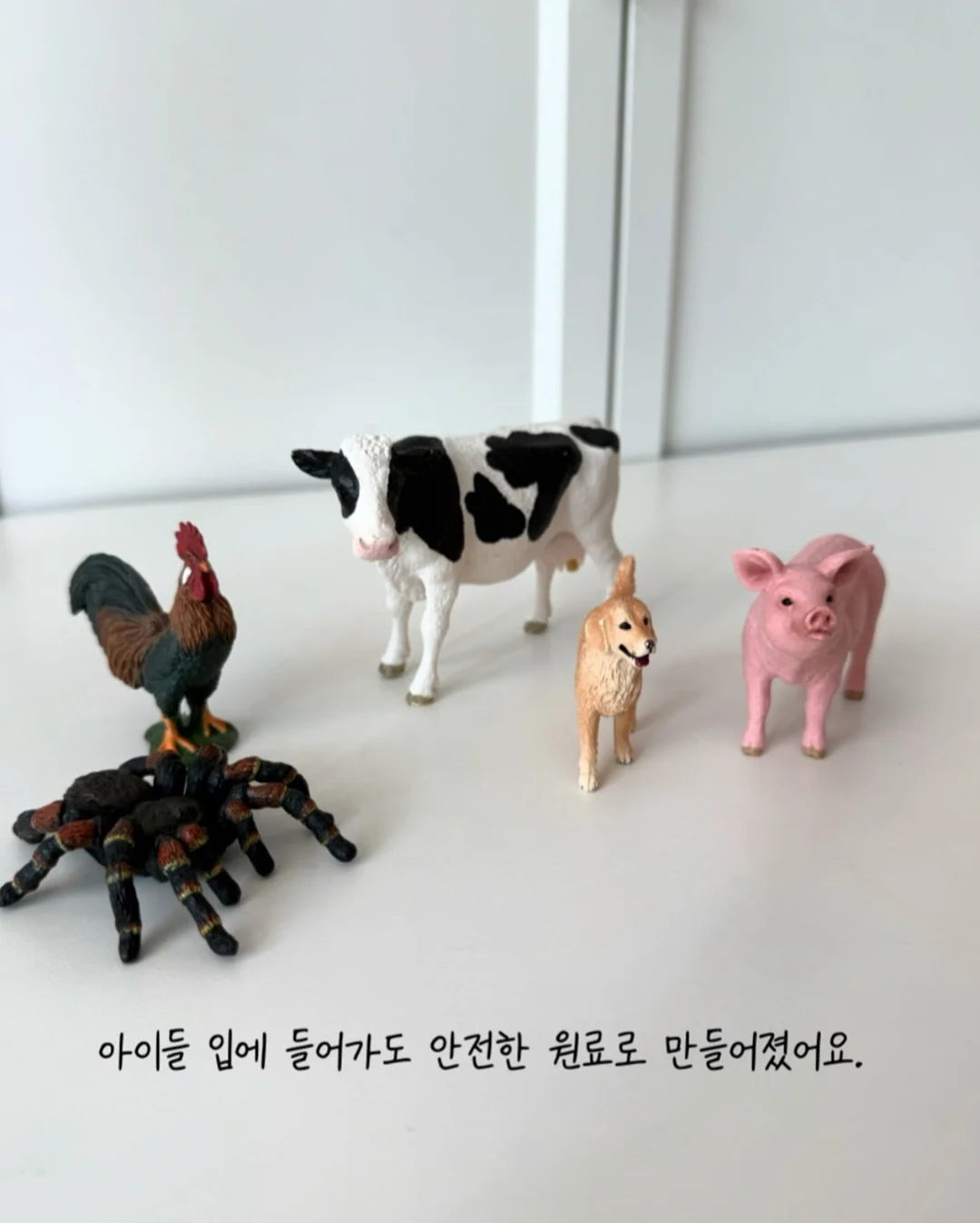 버블팬츠 6
