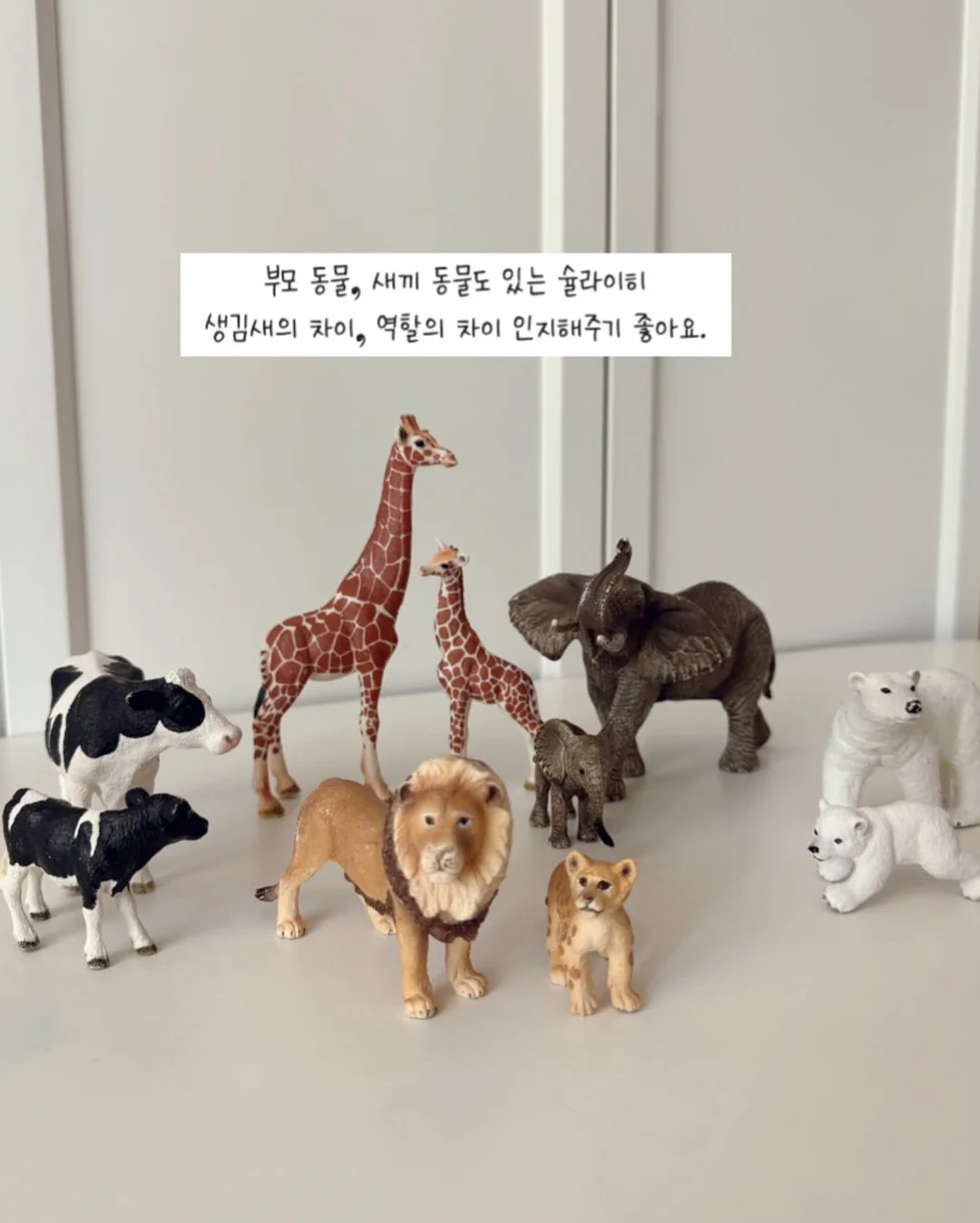 버블팬츠 7
