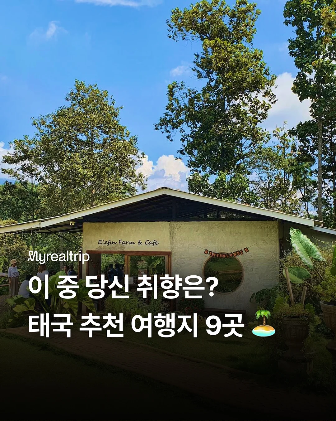 테무 쿠폰백 1
