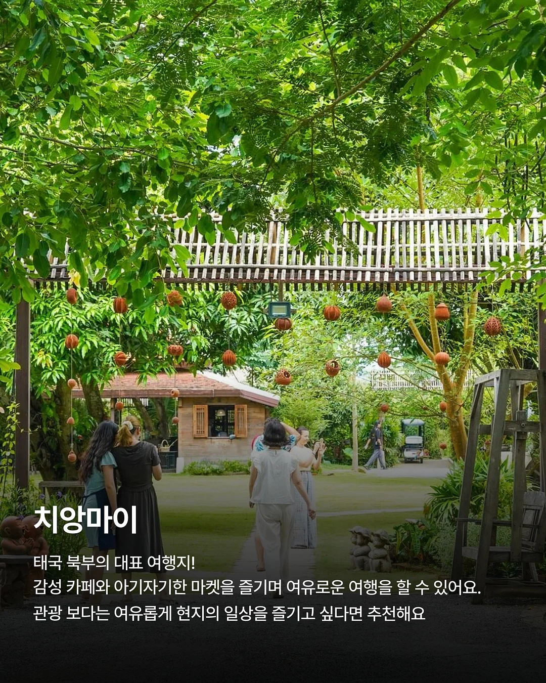 테무 쿠폰백 4