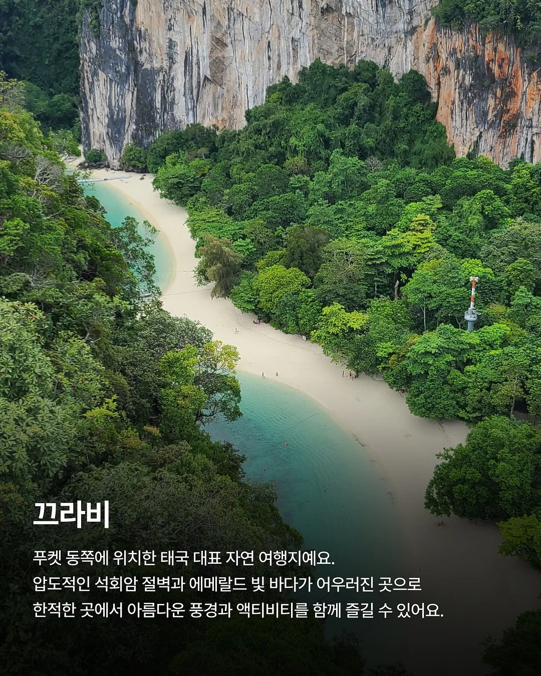테무 쿠폰백 5