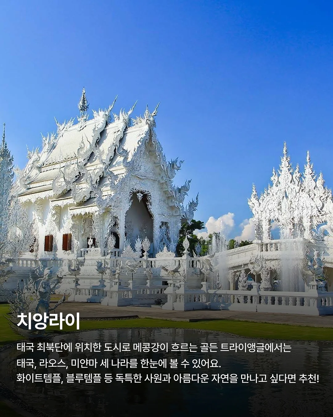 테무 쿠폰백 9