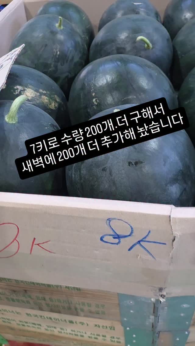 접이식 규조토 매트