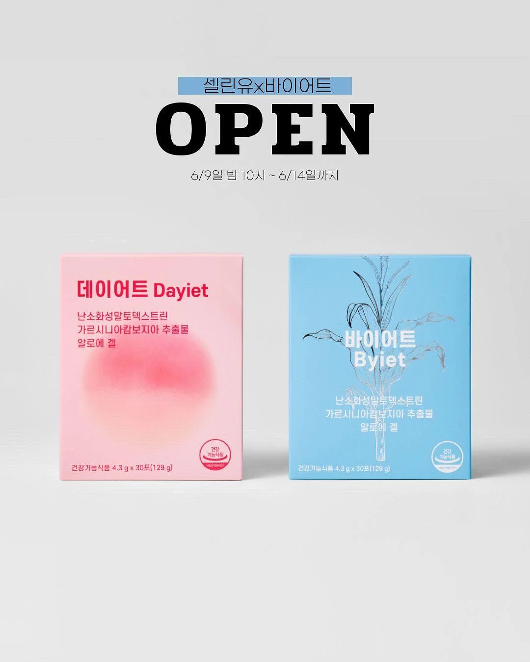 마카롱 3구 1