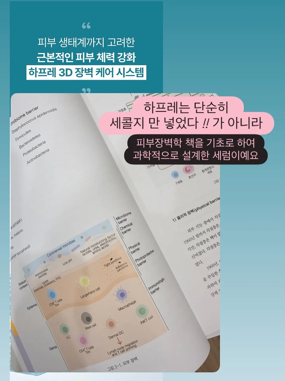 모래놀이 장난감 13
