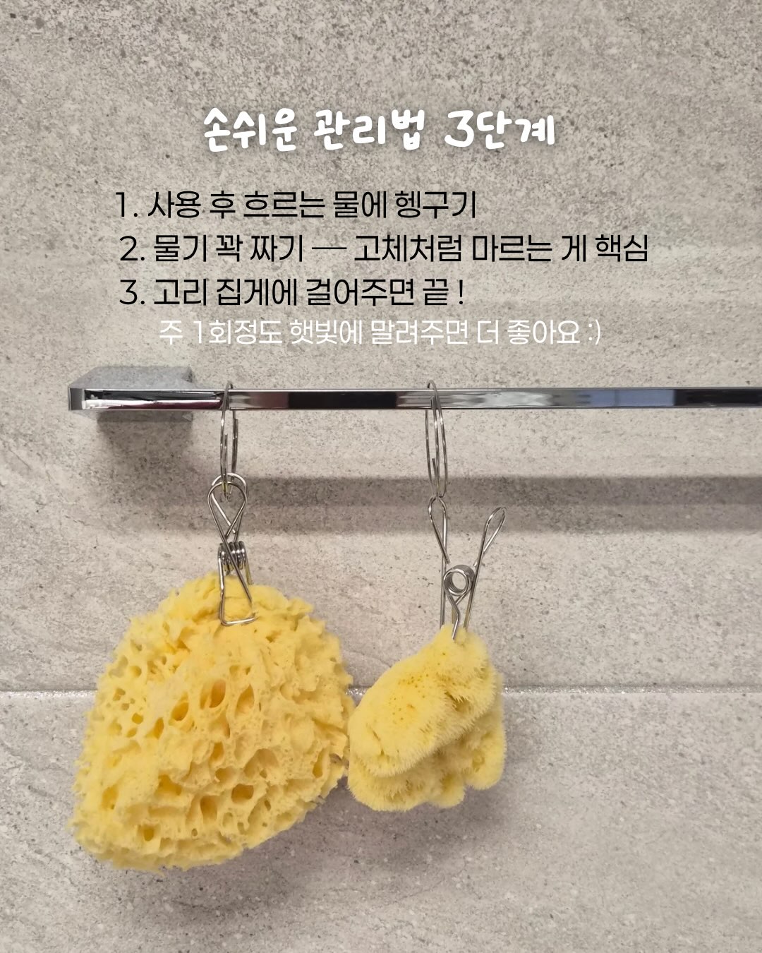 에그타르트 5