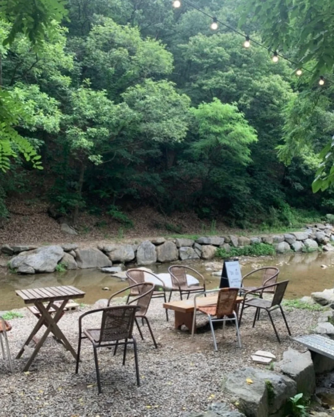 애플비 자연관찰 손전등 보드북 4