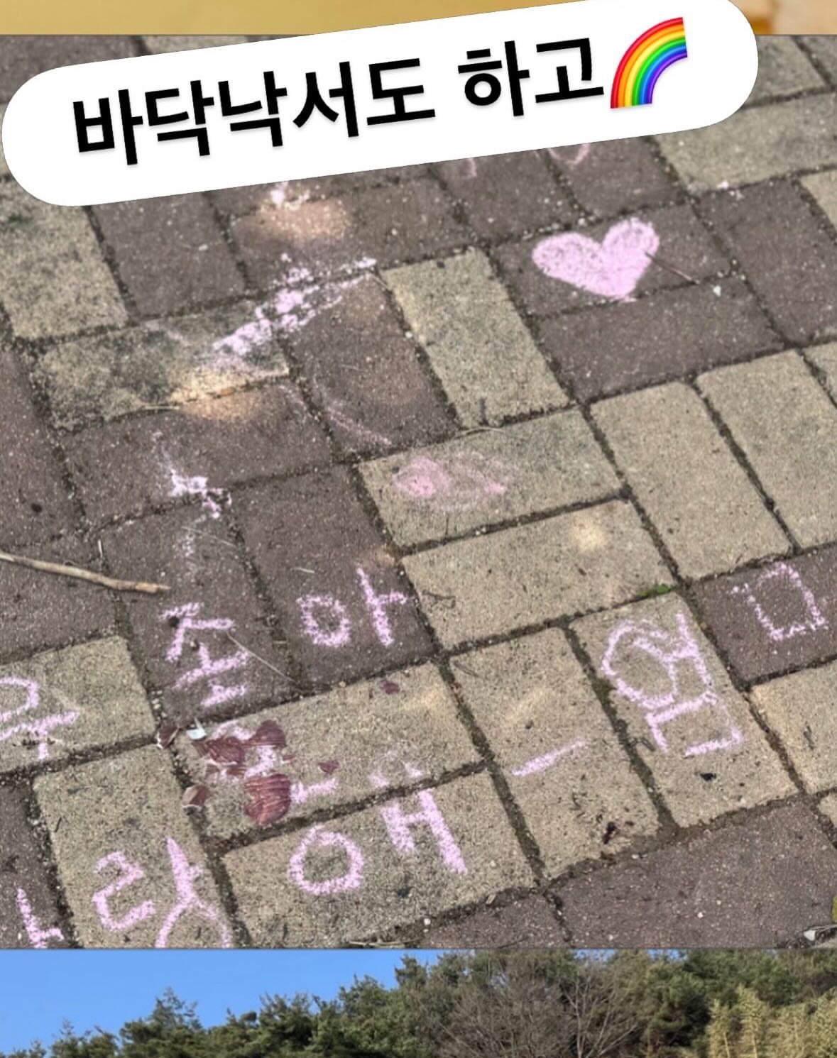 단풍잎 다식접시 12