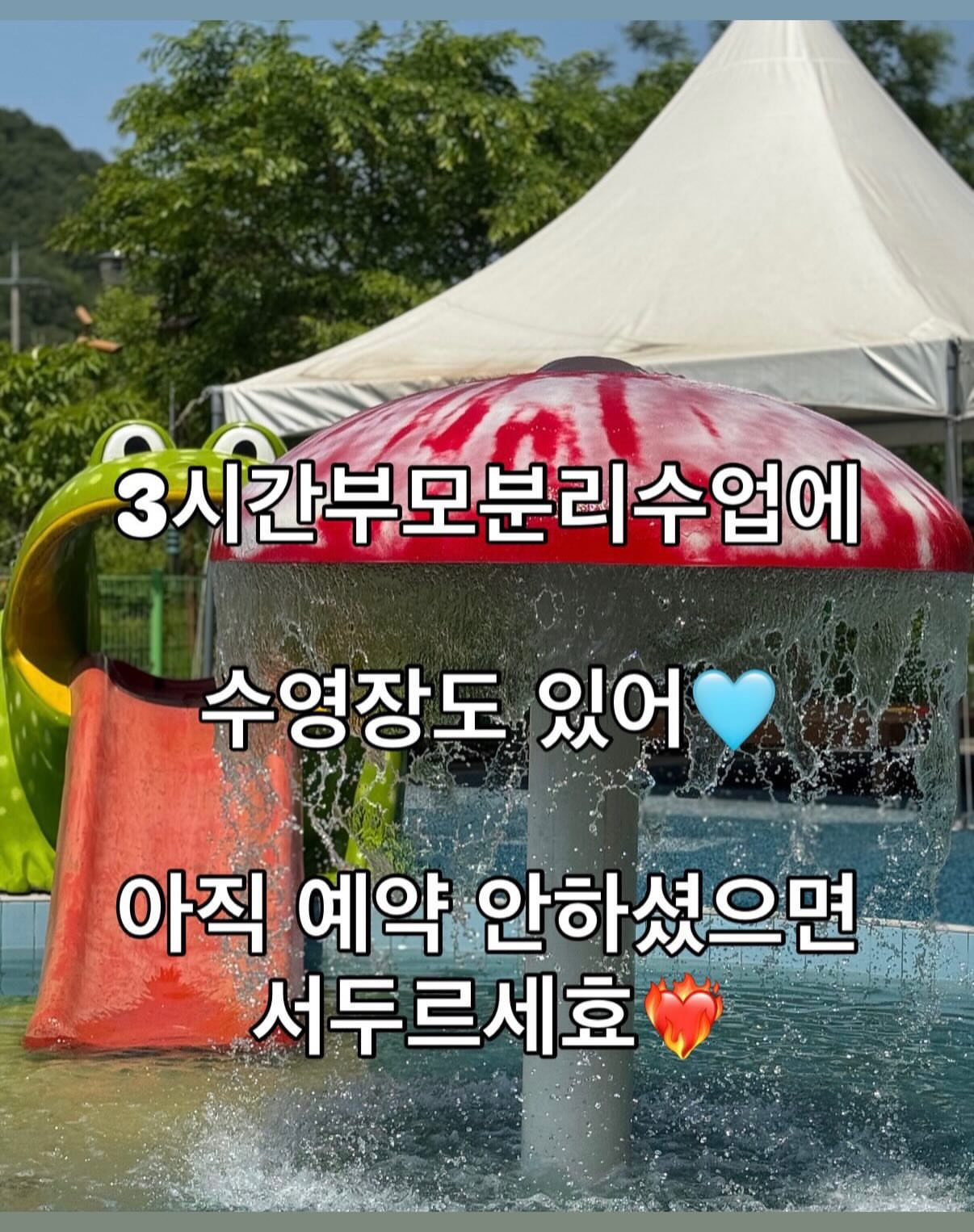 단풍잎 다식접시 5