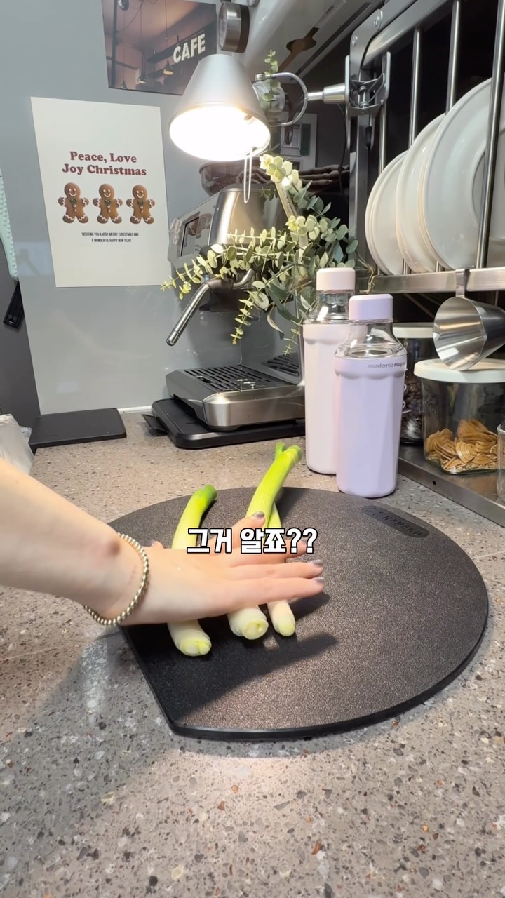 학생회장의 고충을 들어주는 만화