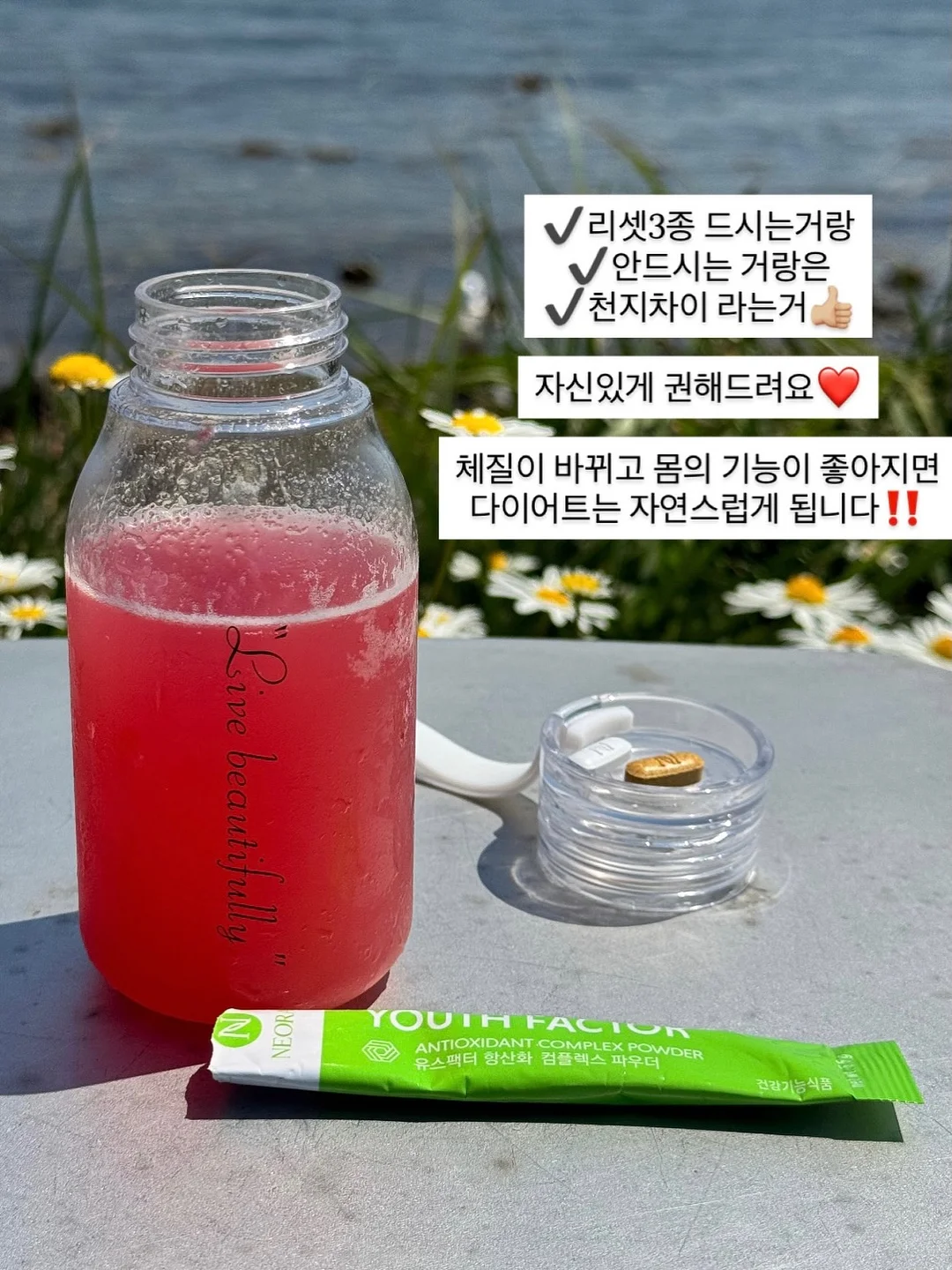 볼로네제 소스, 알리오올리오 소스 13