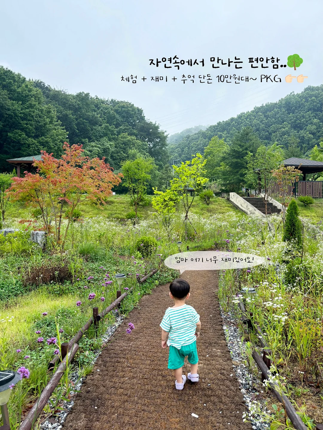 나트랑 공항 프리패스 12
