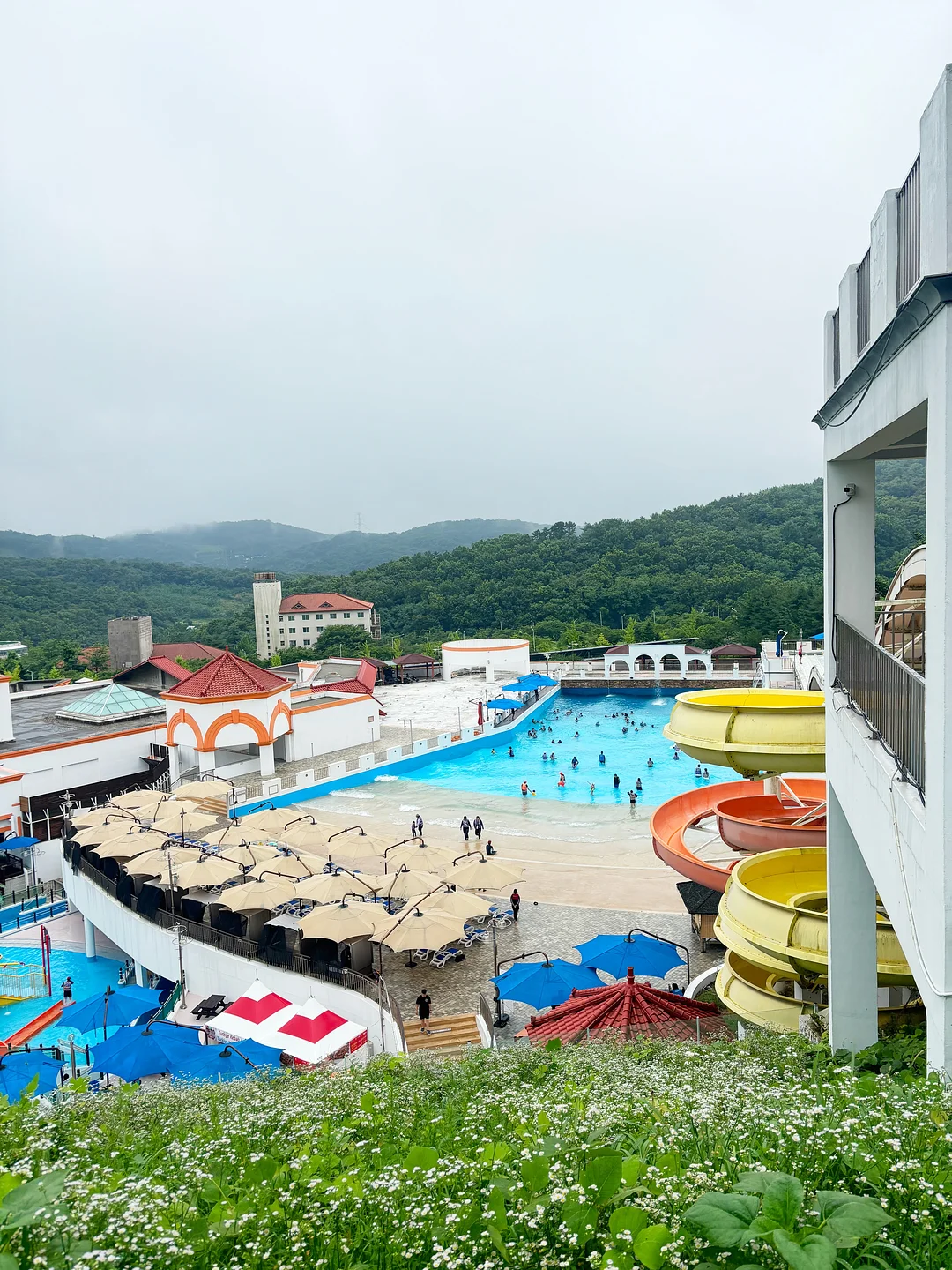 나트랑 공항 프리패스 15