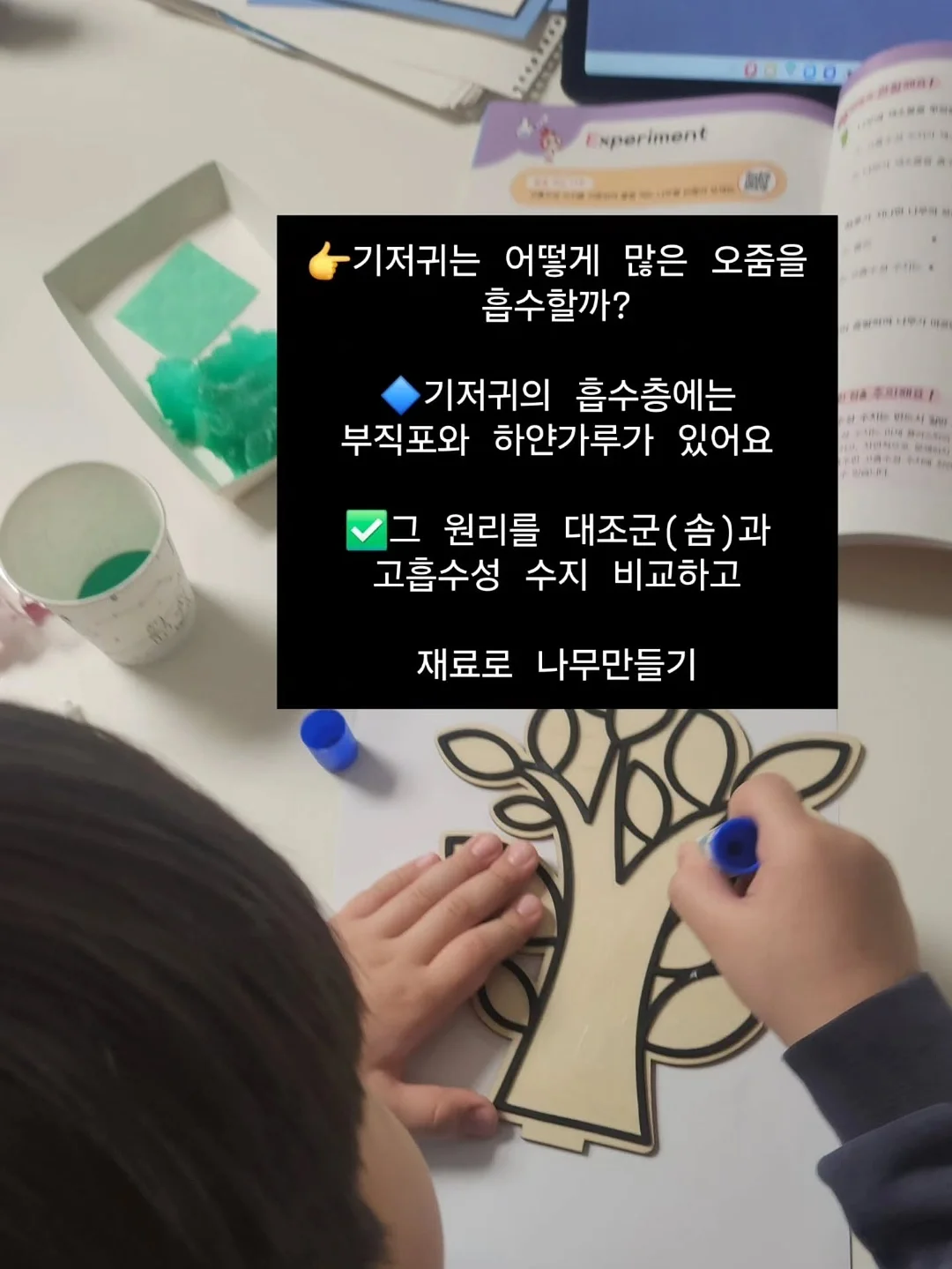 레이스 화병 세트 15