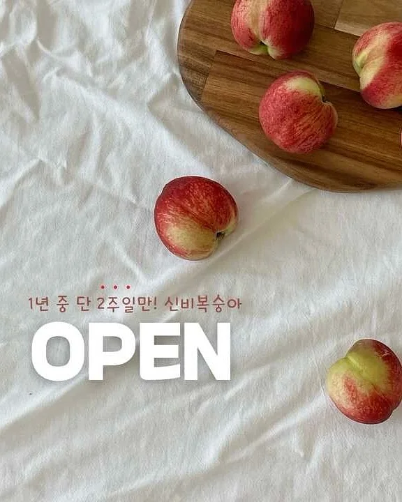 BCD 풀세팅 1