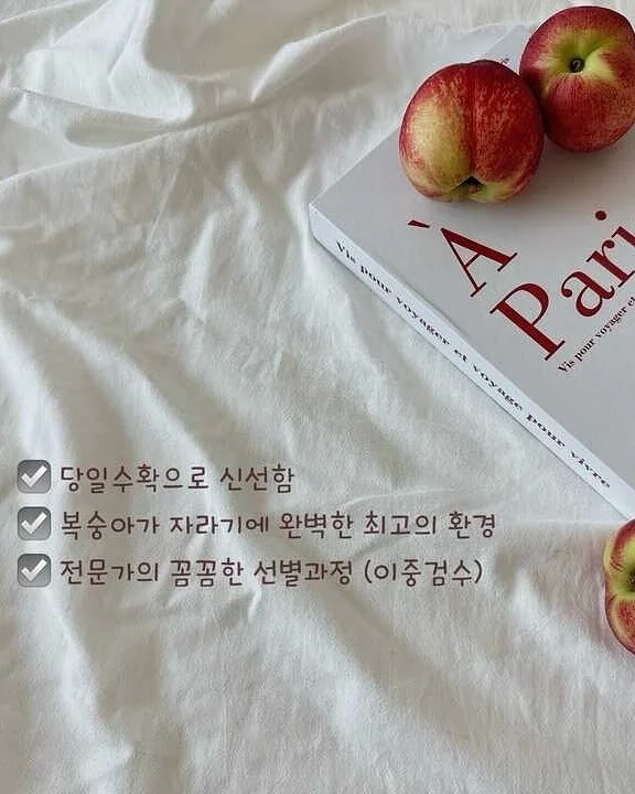 BCD 풀세팅 3