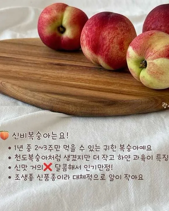 BCD 풀세팅 4