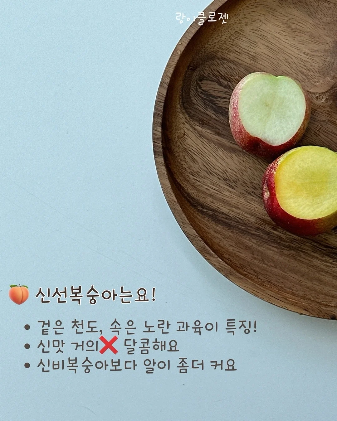 BCD 풀세팅 5