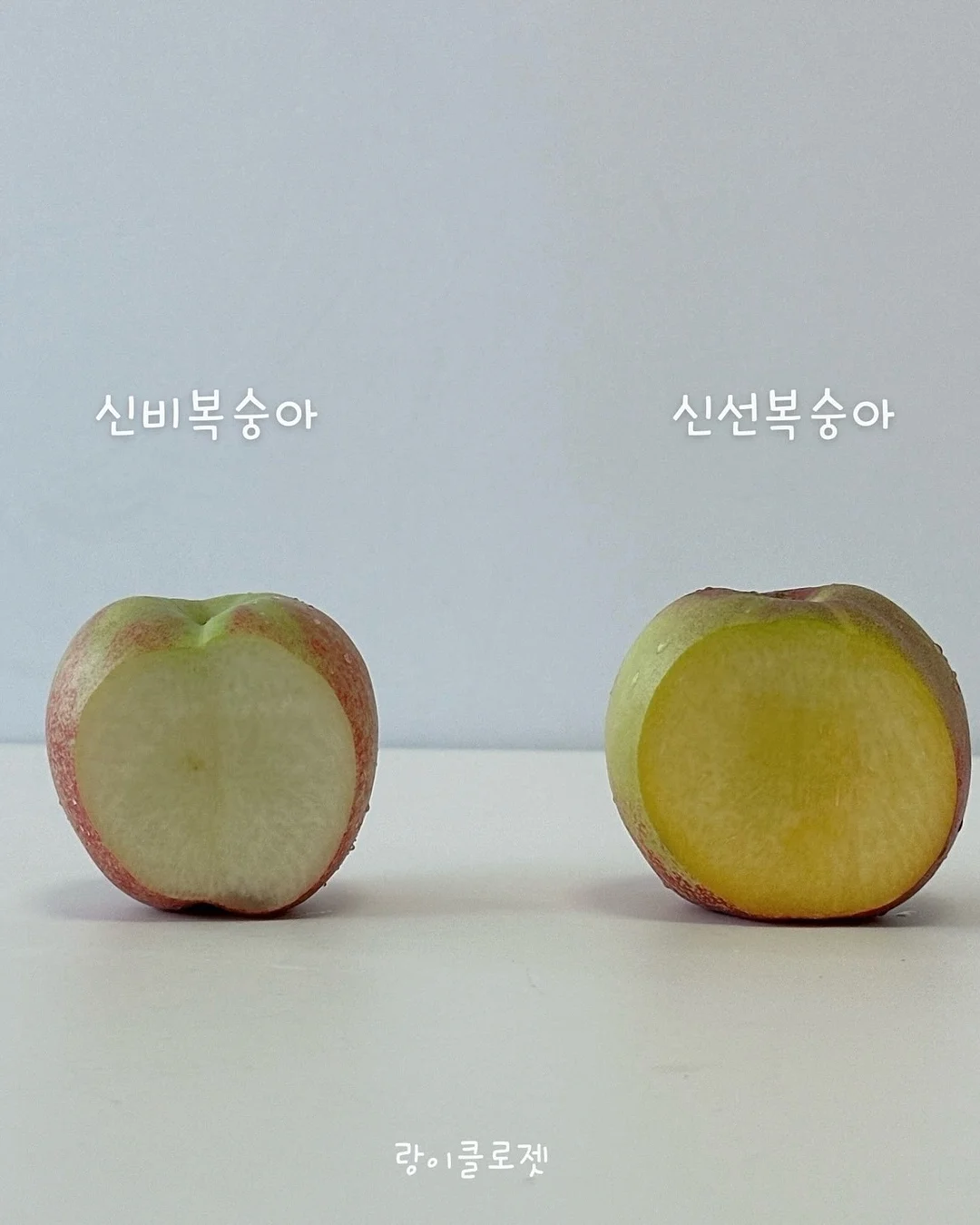BCD 풀세팅 6