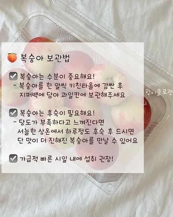 BCD 풀세팅 8