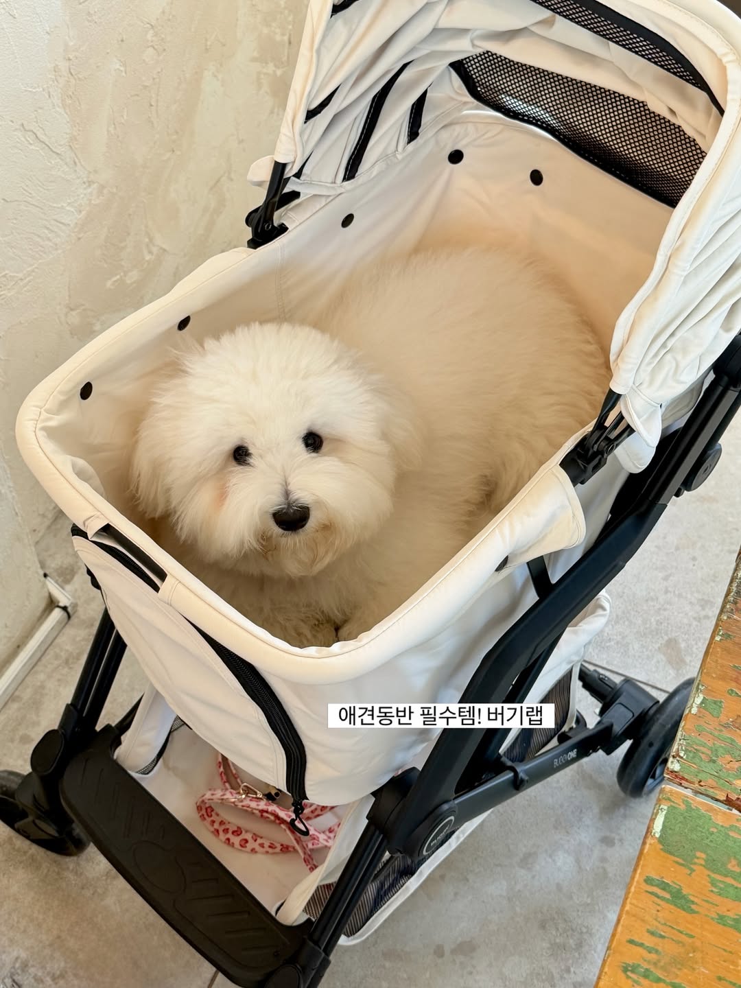 우리 세희 1