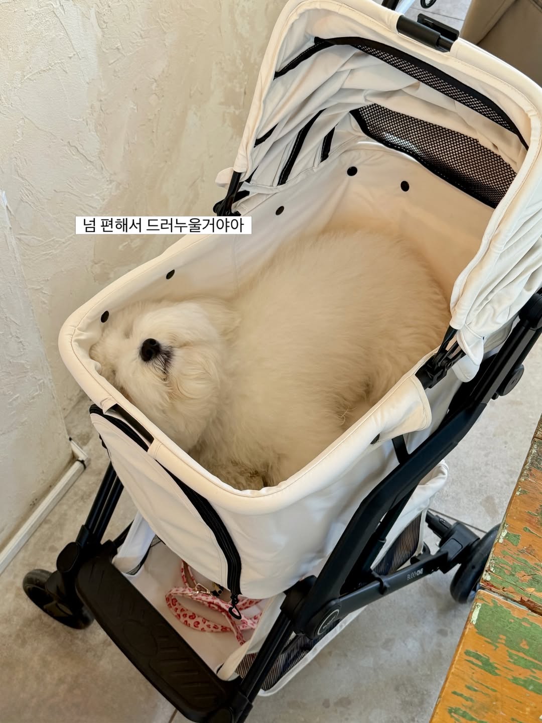 우리 세희 3