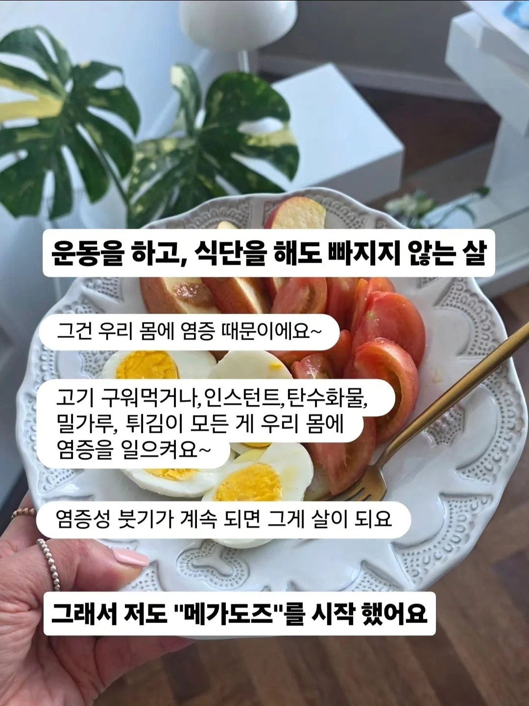 모이사나이트 목걸이 4
