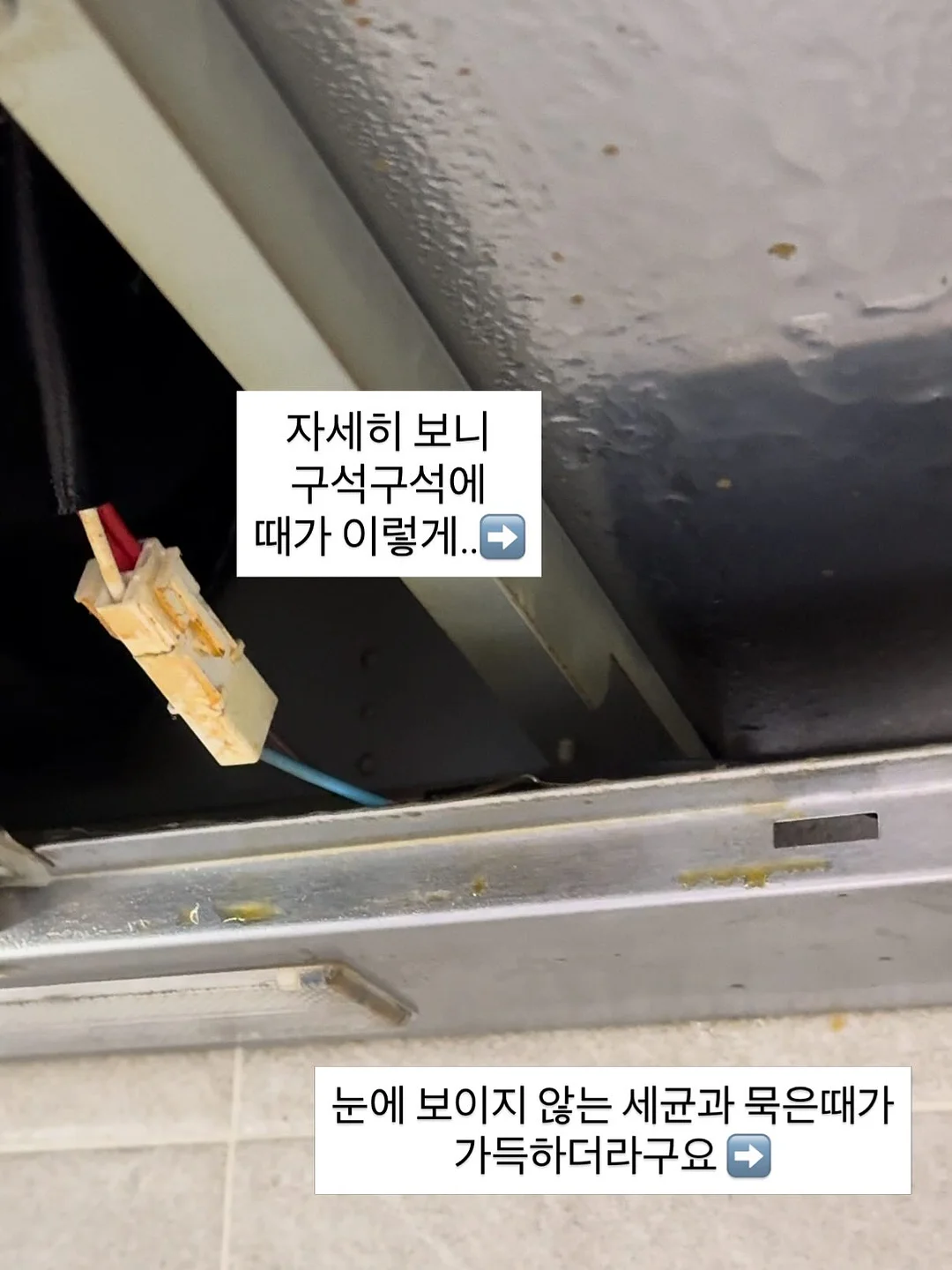 블리 원피스 3