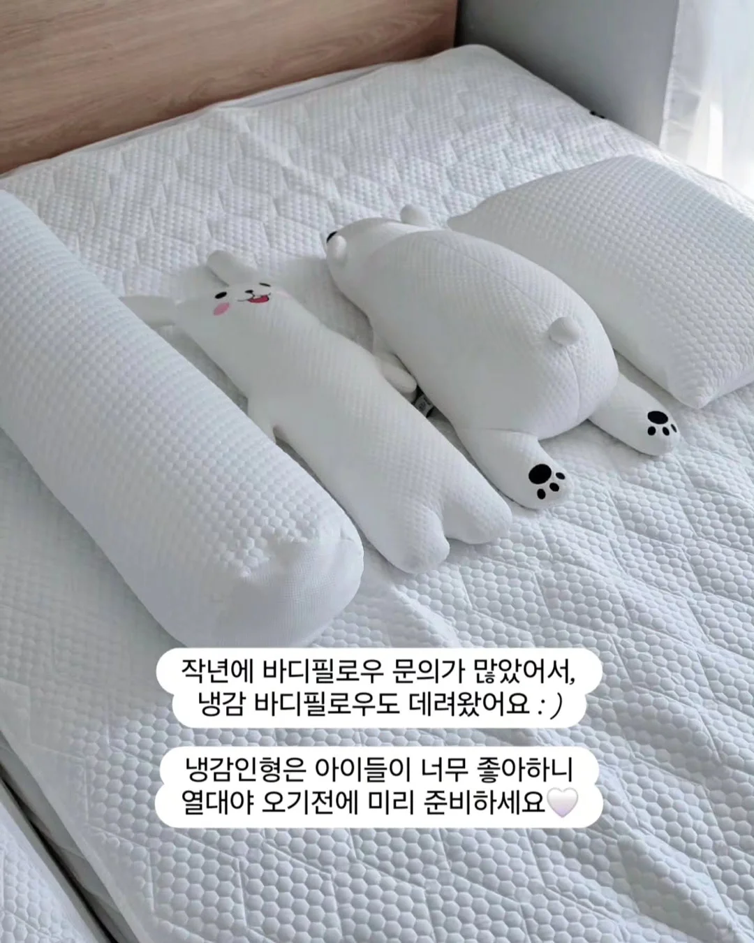 파우더 10