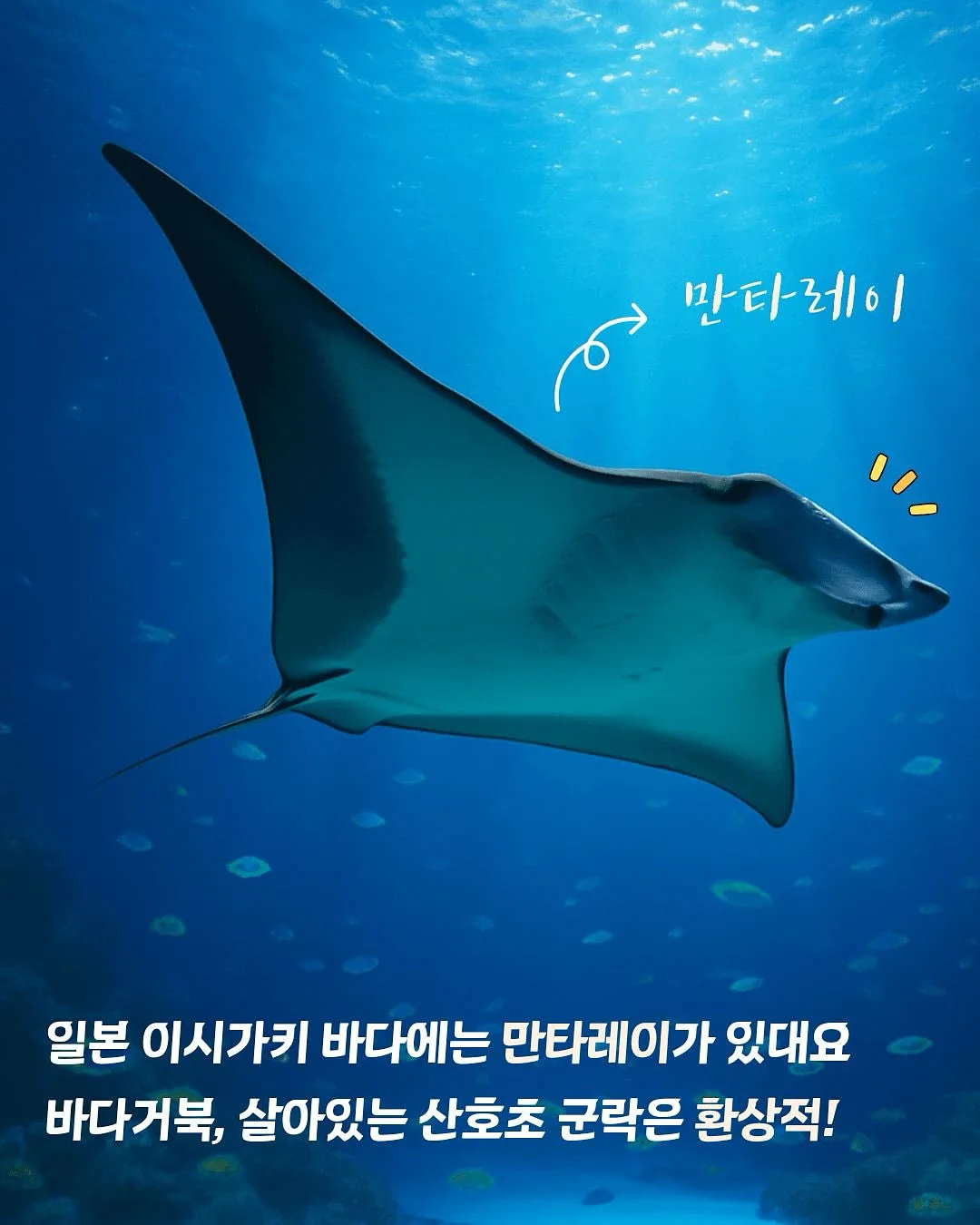 버터떡 3