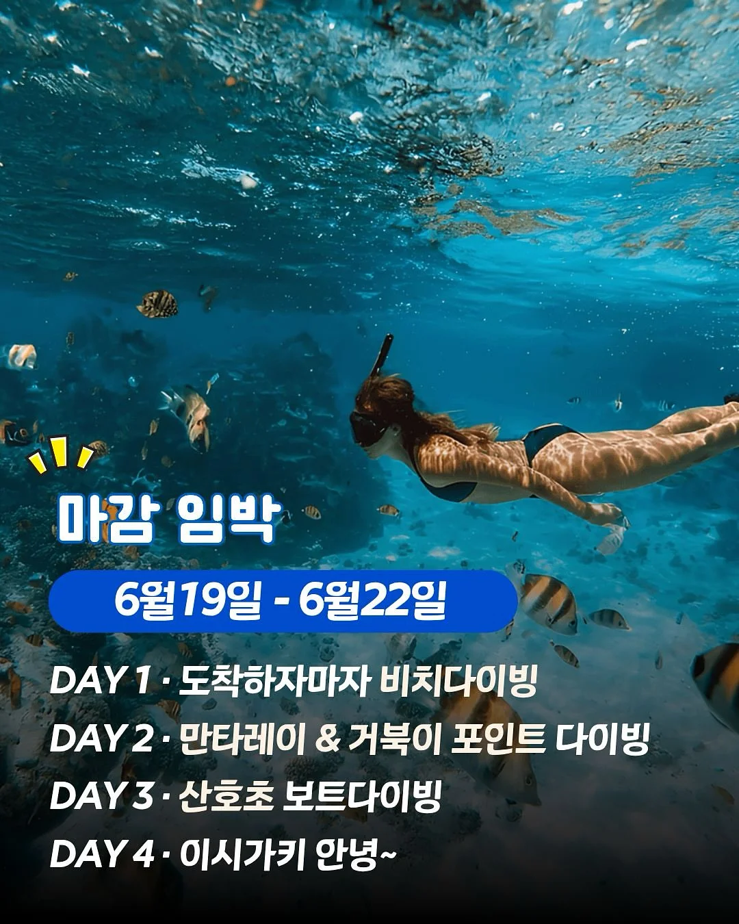 버터떡 4