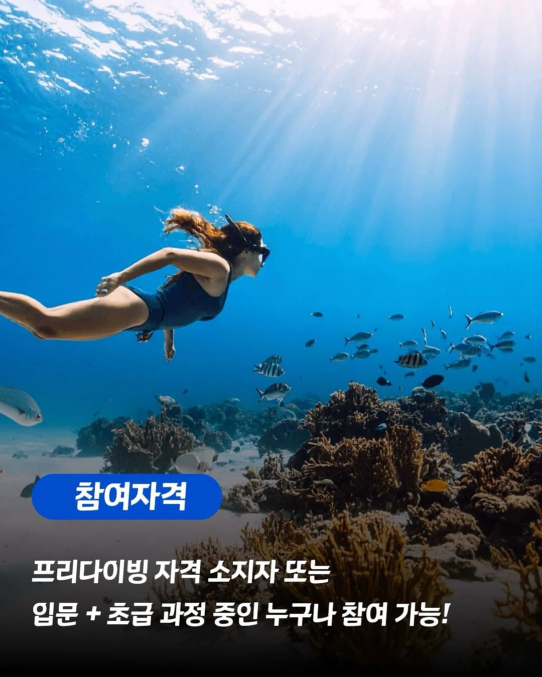 버터떡 5