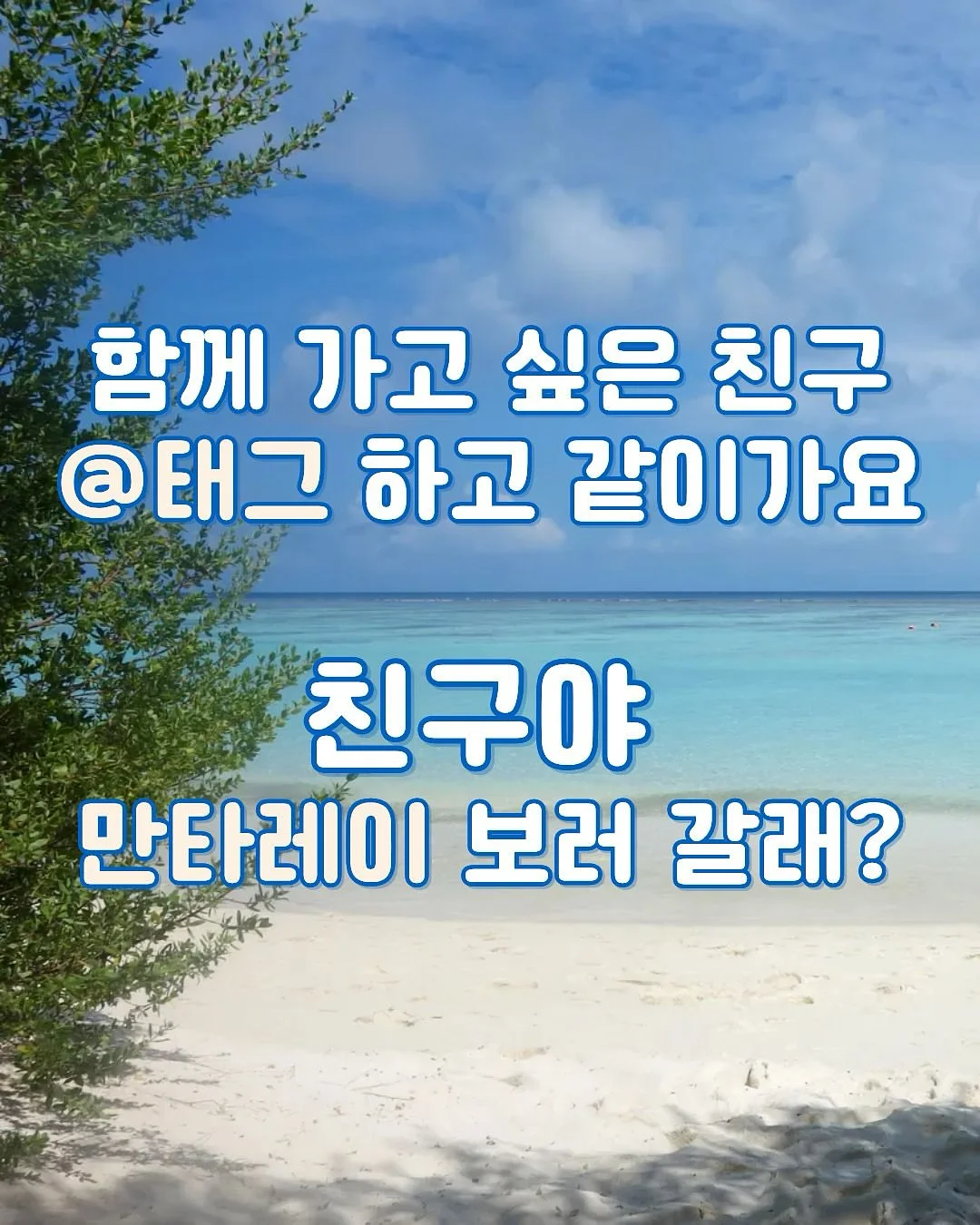 버터떡 7