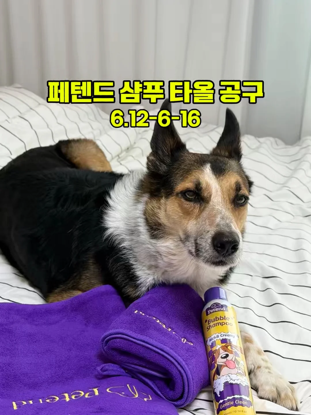 마이키즈 1