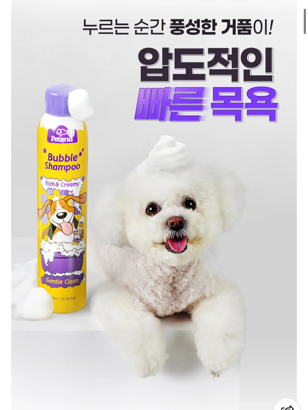 마이키즈 11