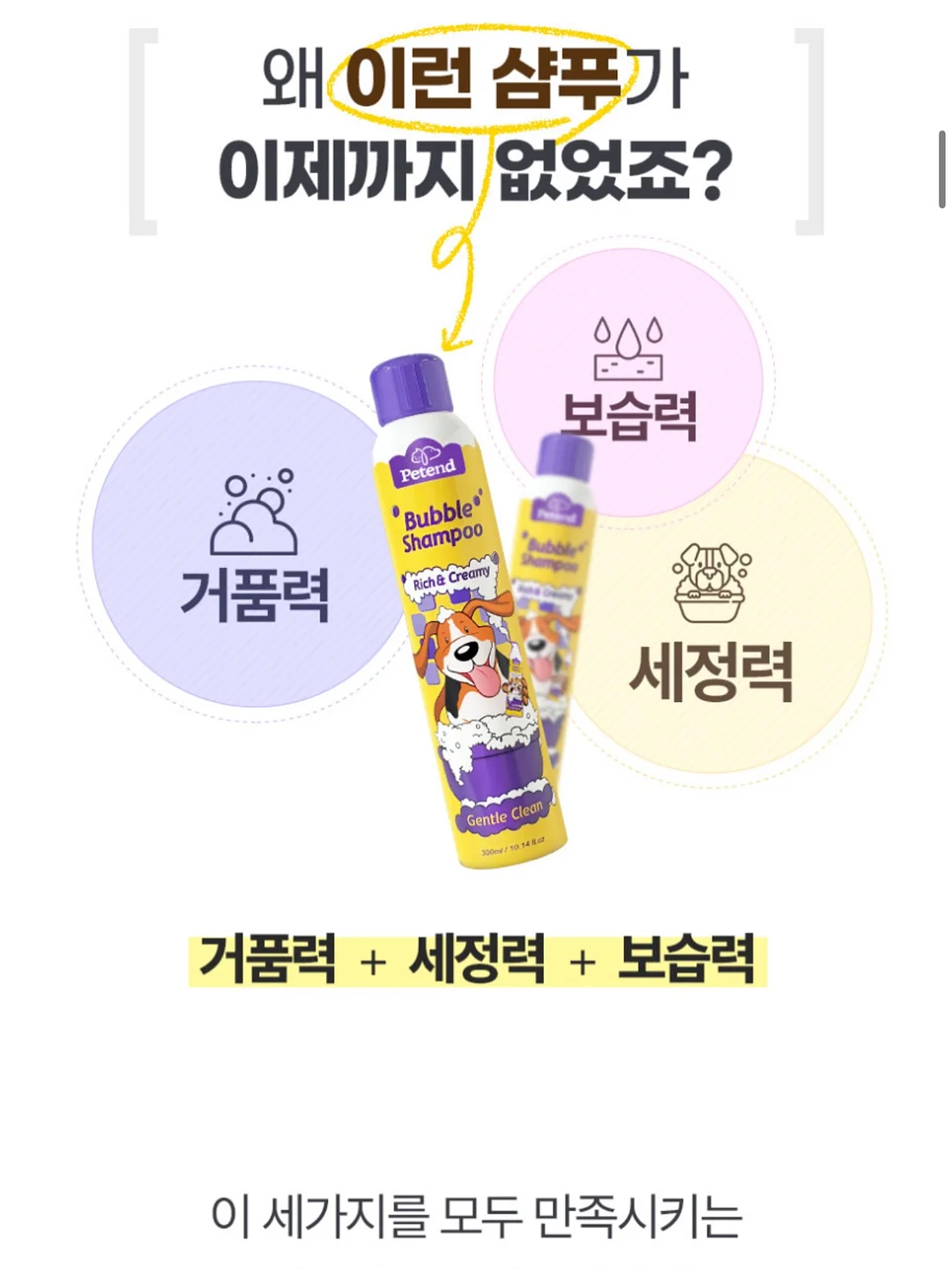 마이키즈 12