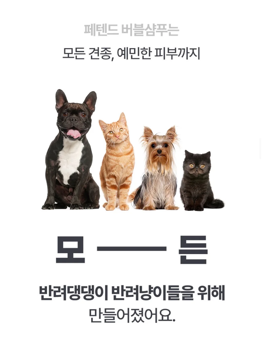 마이키즈 16