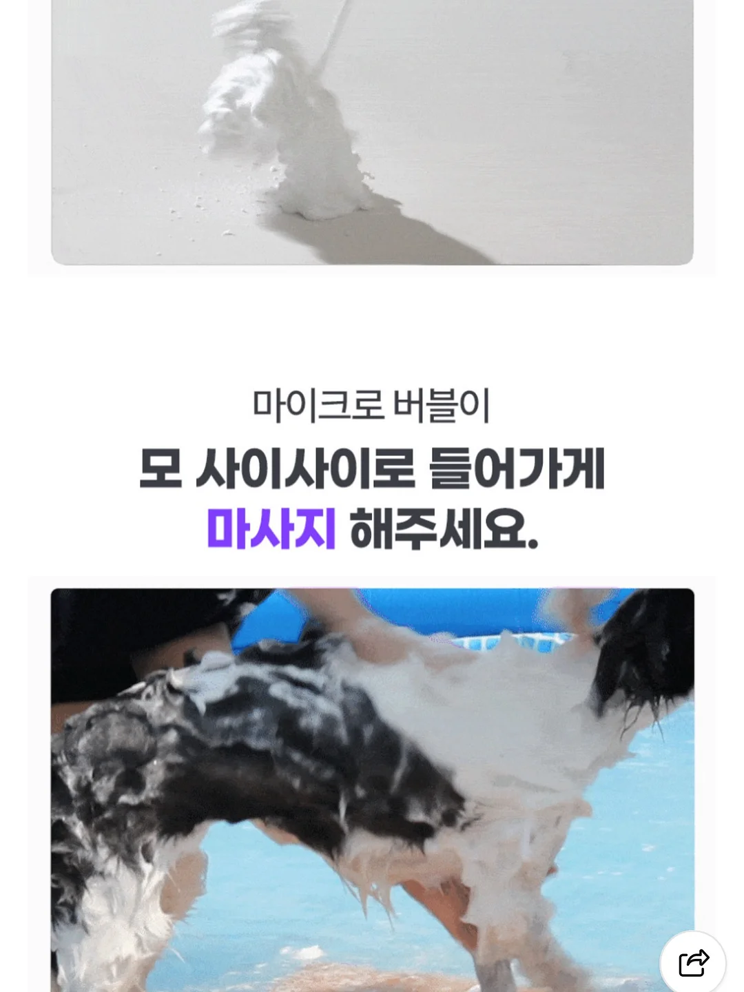 마이키즈 20