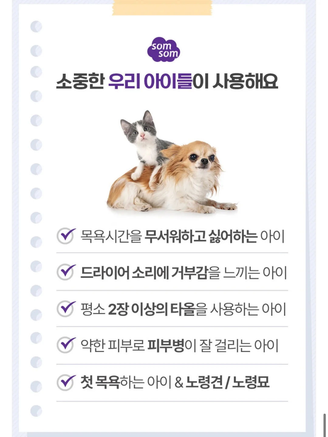 마이키즈 5