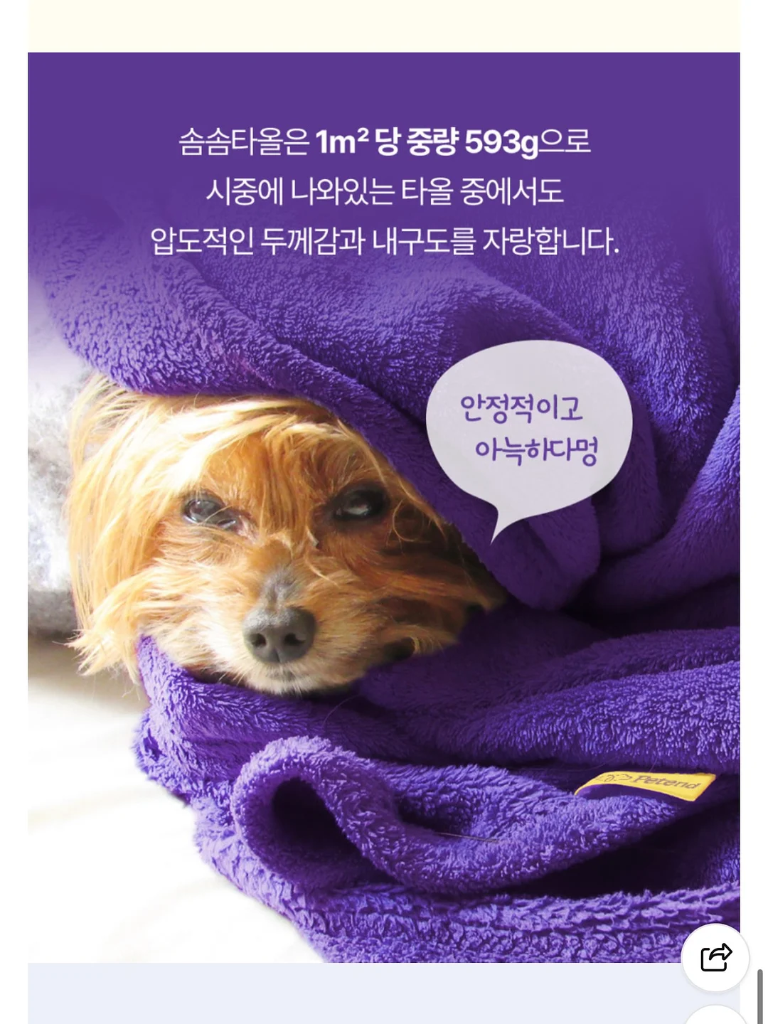 마이키즈 10