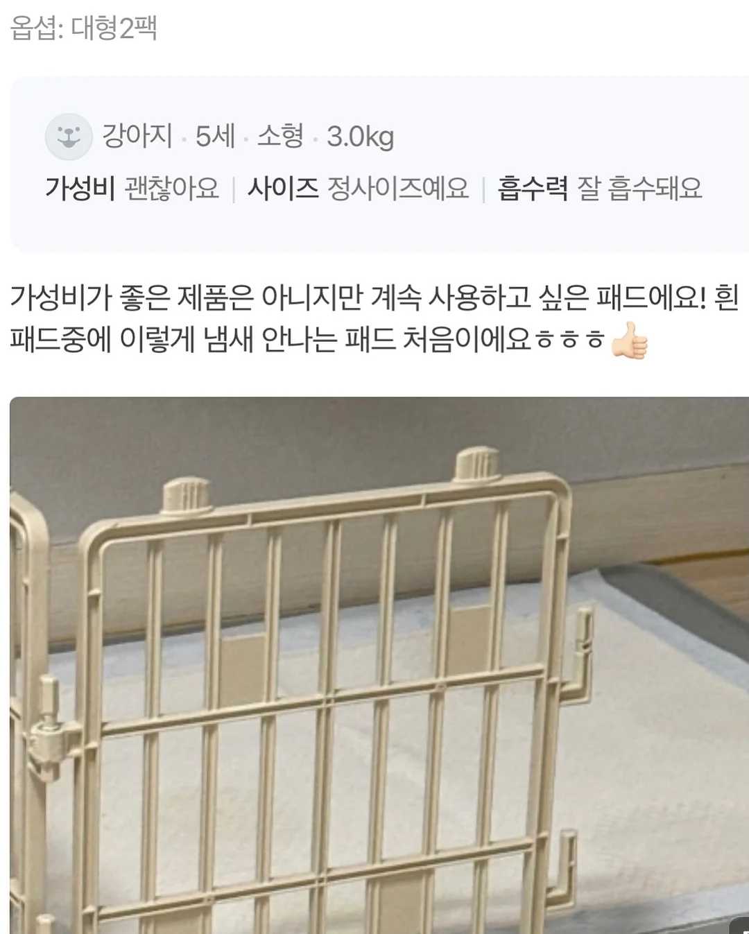 다이소 파데프리 선크림 3
