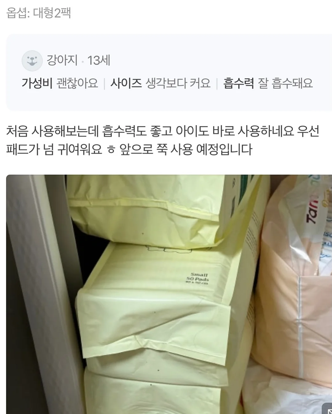 다이소 파데프리 선크림 4