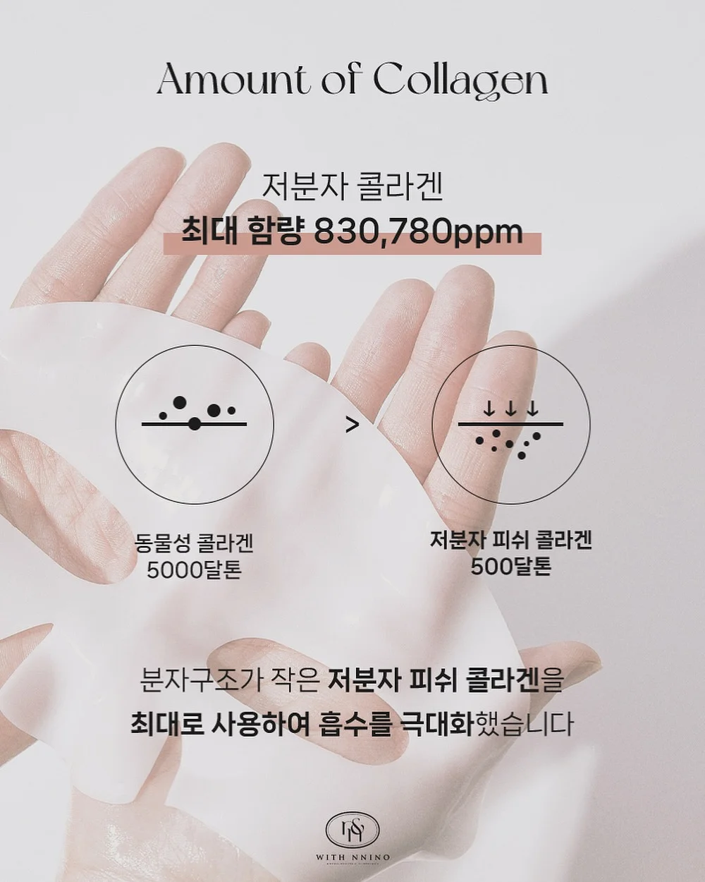 캄포 라이브 엣지 트레이 5
