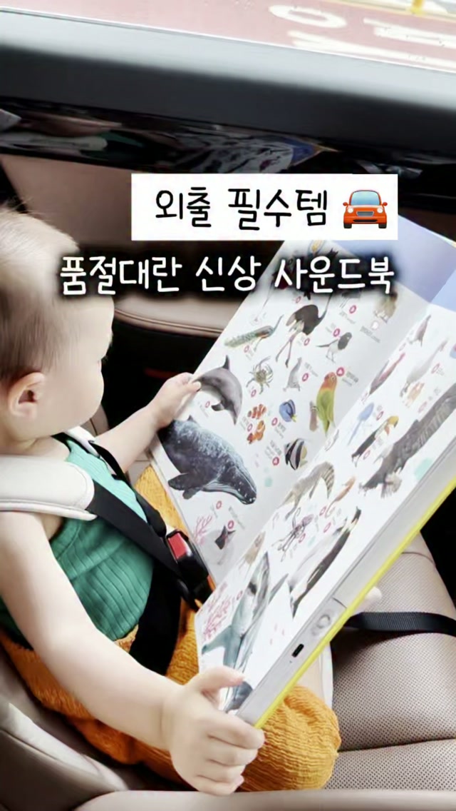 오키드 백일상