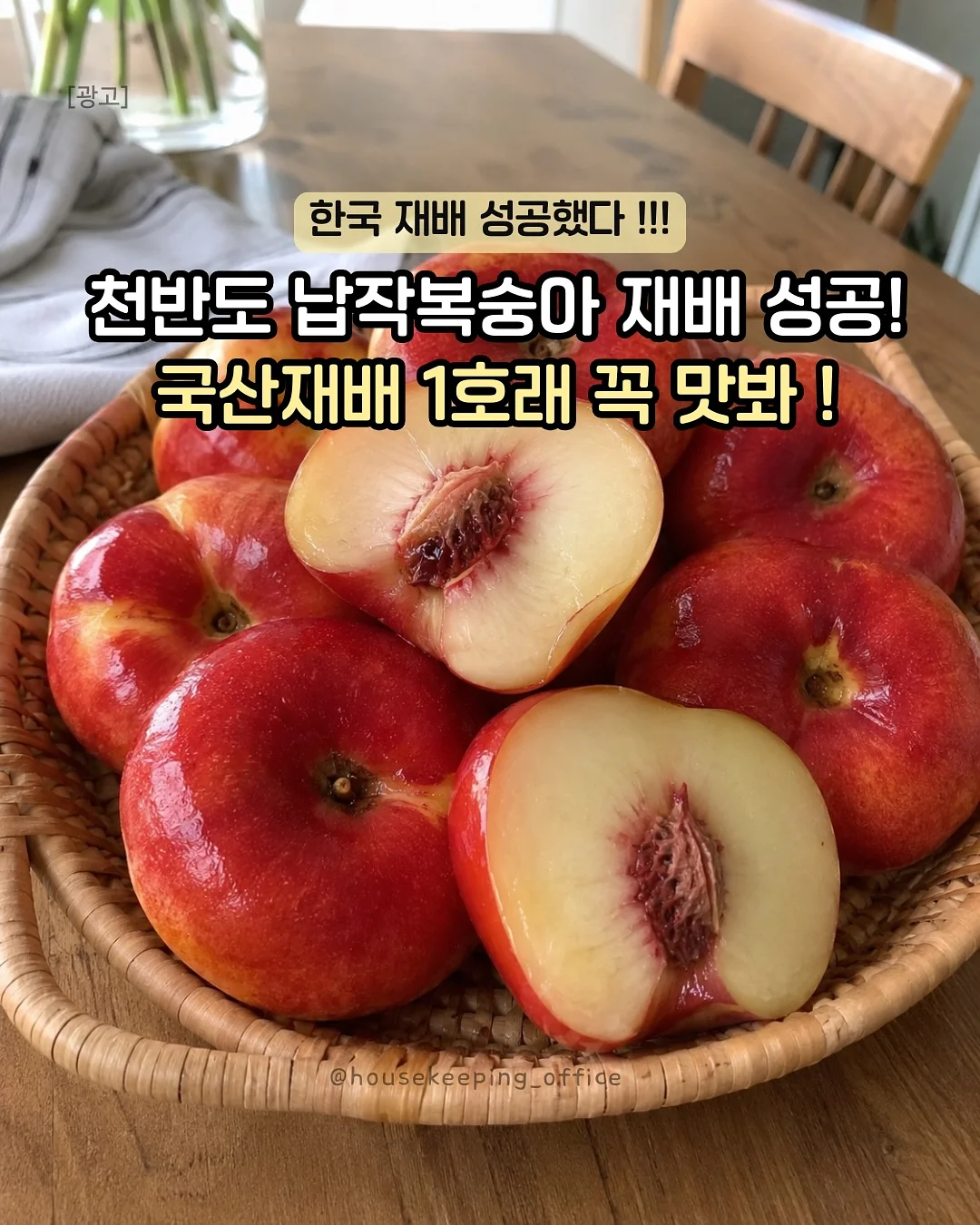 안경 1