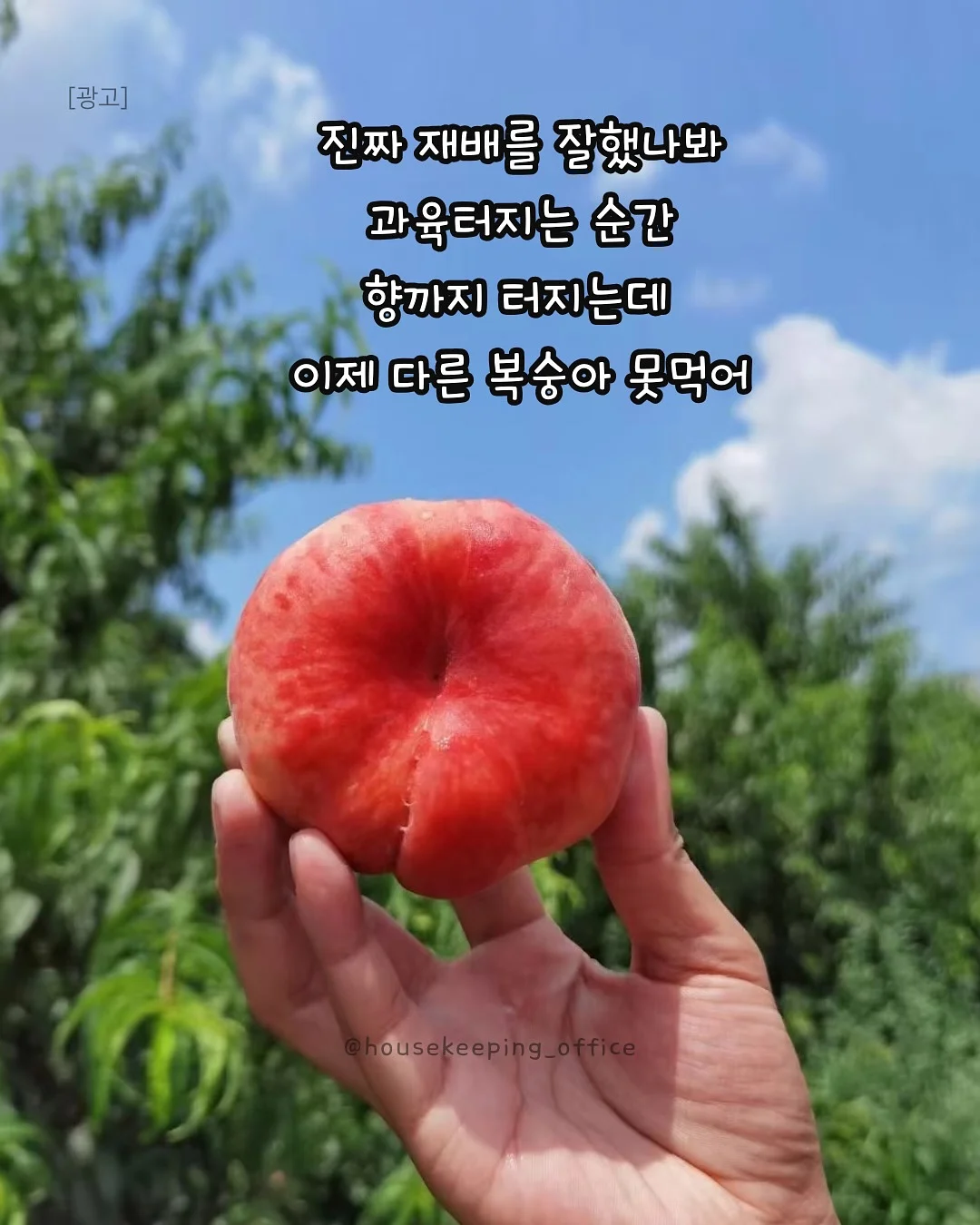 안경 2