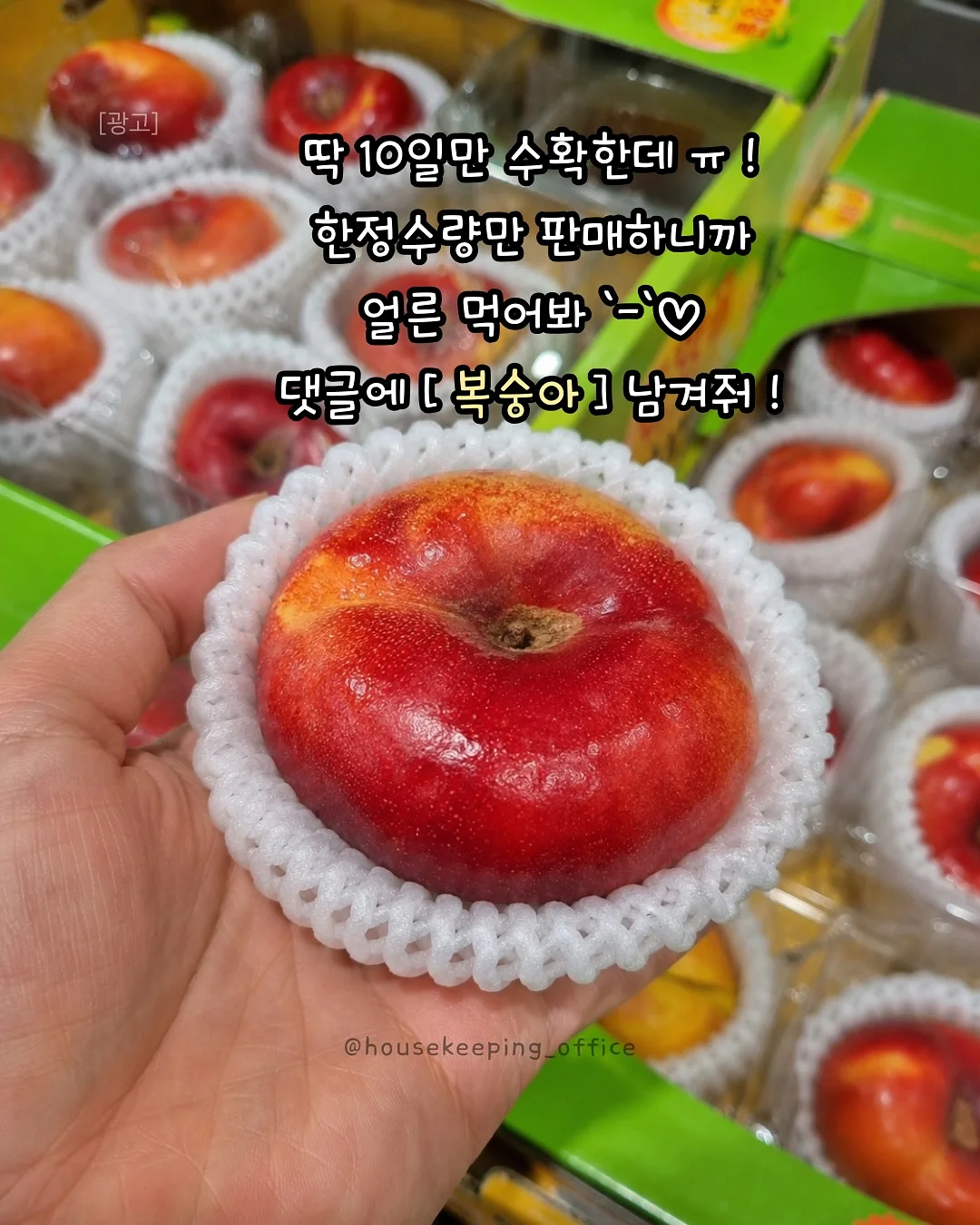 안경 5