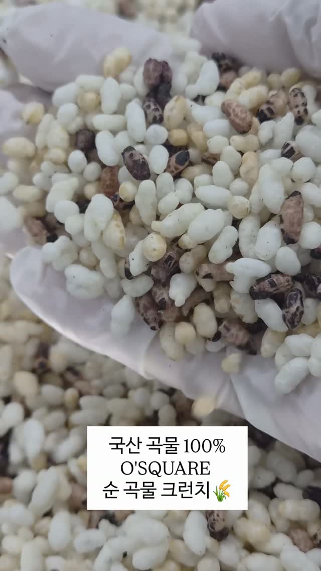 라일라 드레스